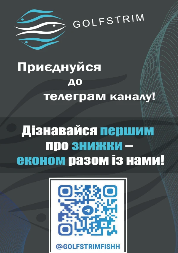 Ось посилання на наш Telegram-канал — приєднуйтесь до нас!