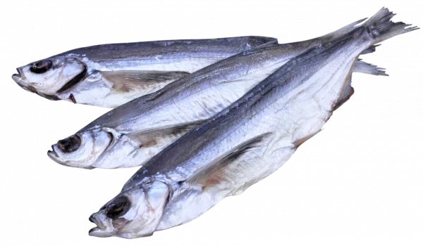 Чехоня в'ялена