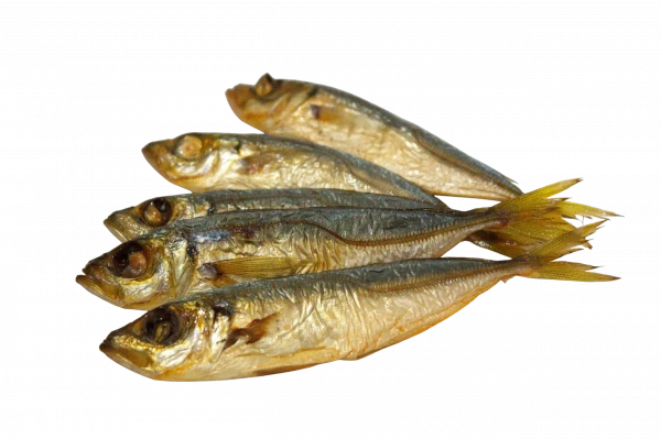 Ставридка гарячого копчення